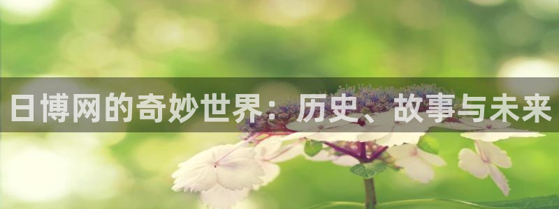 日博网的奇妙世界：历史、故事与未来