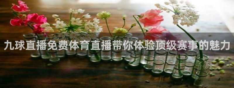 九球直播免费体育直播带你体验顶级赛事的魅力