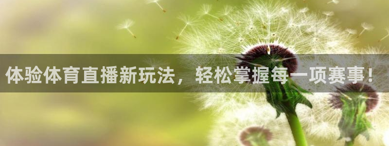 体验体育直播新玩法，轻松掌握每一项赛事！