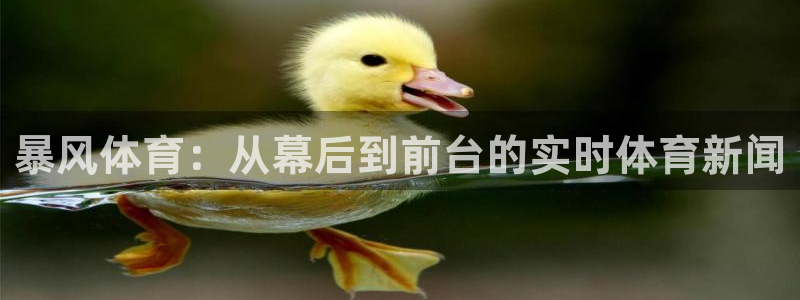 暴风体育：从幕后到前台的实时体育新闻