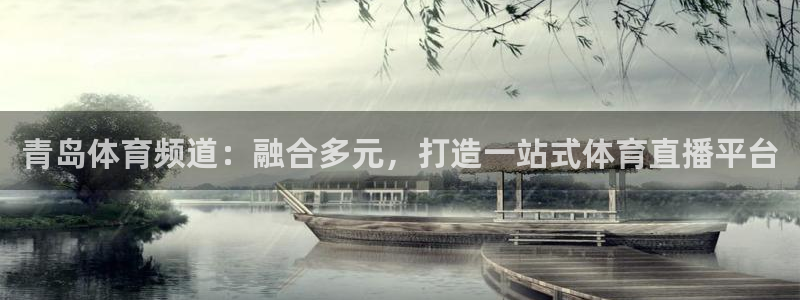 青岛体育频道：融合多元，打造一站式体育直播平台